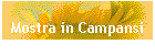 Mostra in Campansi