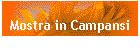 Mostra in Campansi