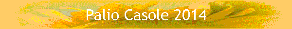 Palio Casole 2014