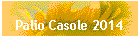 Palio Casole 2014
