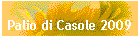 Palio di Casole 2009