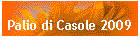 Palio di Casole 2009