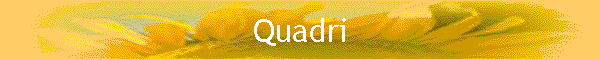 Quadri