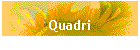 Quadri