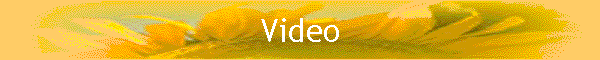 Video Gallery