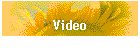 Video Gallery