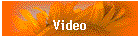 Video Gallery